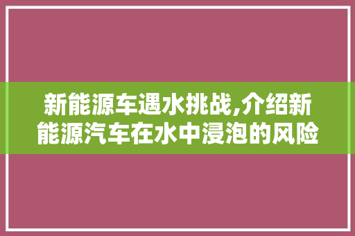 新能源车遇水挑战,介绍新能源汽车在水中浸泡的风险与应对步骤