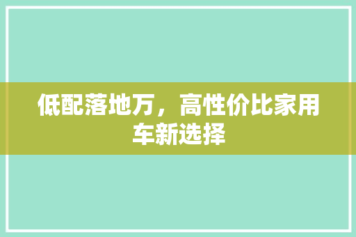 低配落地万，高性价比家用车新选择