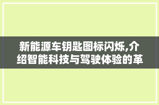 新能源车钥匙图标闪烁,介绍智能科技与驾驶体验的革新