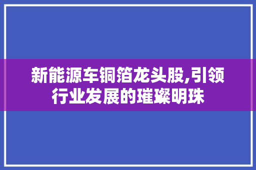 新能源车铜箔龙头股,引领行业发展的璀璨明珠
