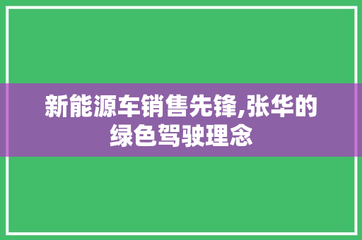 新能源车销售先锋,张华的绿色驾驶理念