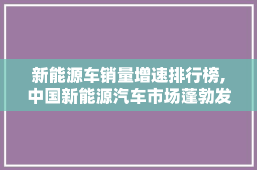 新能源车销量增速排行榜,中国新能源汽车市场蓬勃发展