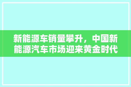 新能源车销量攀升，中国新能源汽车市场迎来黄金时代