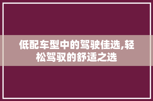 低配车型中的驾驶佳选,轻松驾驭的舒适之选