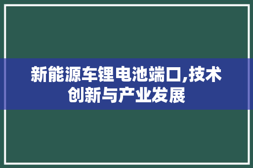 新能源车锂电池端口,技术创新与产业发展