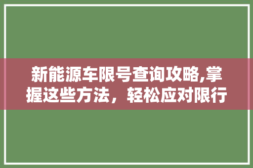 新能源车限号查询攻略,掌握这些方法，轻松应对限行政策