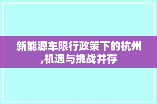 新能源车限行政策下的杭州,机遇与挑战并存