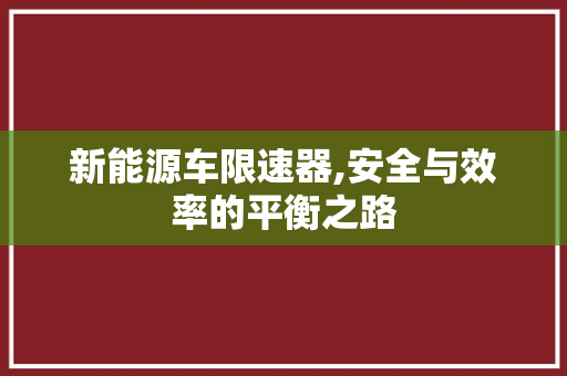 新能源车限速器,安全与效率的平衡之路