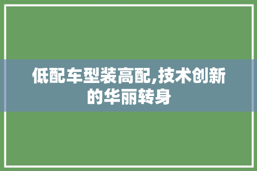 低配车型装高配,技术创新的华丽转身