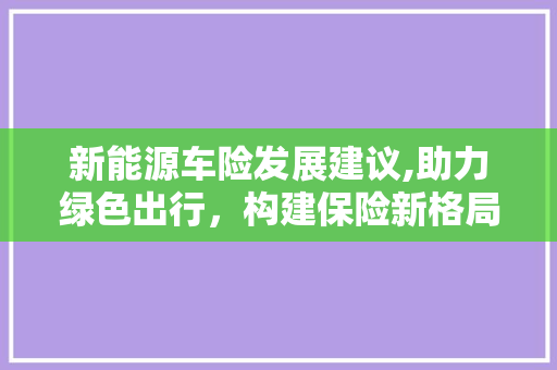 新能源车险发展建议,助力绿色出行，构建保险新格局