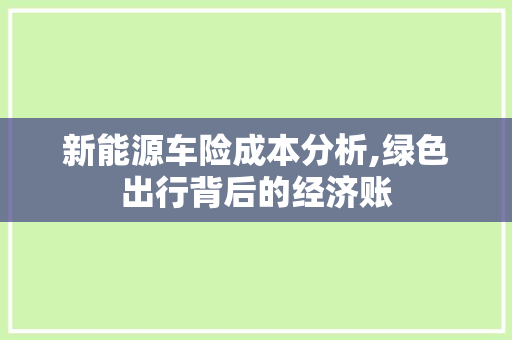 新能源车险成本分析,绿色出行背后的经济账