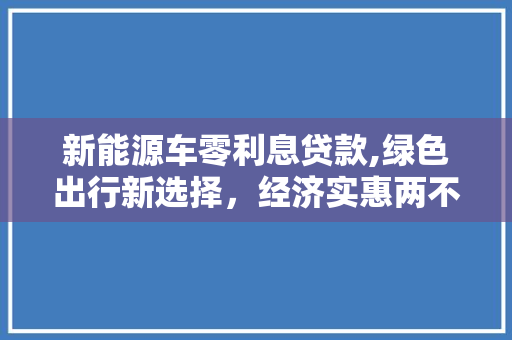 新能源车零利息贷款,绿色出行新选择，经济实惠两不误