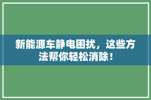 新能源车静电困扰，这些方法帮你轻松消除！