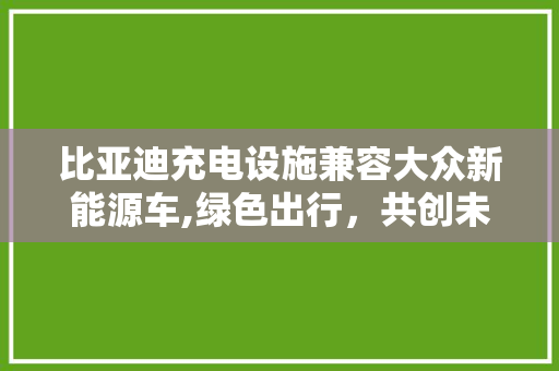 比亚迪充电设施兼容大众新能源车,绿色出行，共创未来