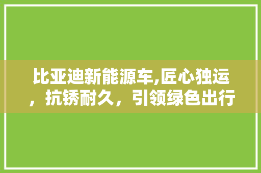 比亚迪新能源车,匠心独运，抗锈耐久，引领绿色出行新潮流