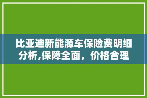 比亚迪新能源车保险费明细分析,保障全面，价格合理