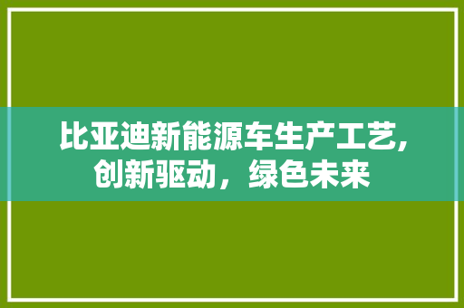 比亚迪新能源车生产工艺,创新驱动，绿色未来