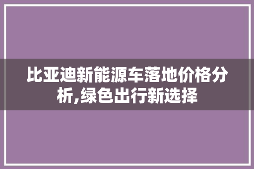 比亚迪新能源车落地价格分析,绿色出行新选择