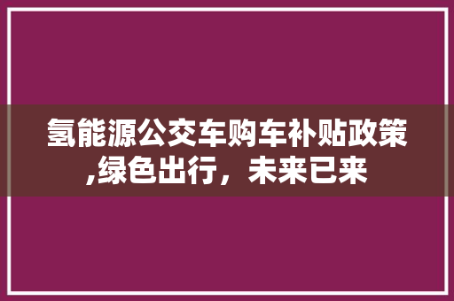 氢能源公交车购车补贴政策,绿色出行，未来已来