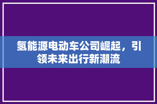 氢能源电动车公司崛起，引领未来出行新潮流