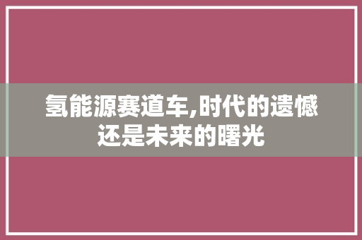 氢能源赛道车,时代的遗憾还是未来的曙光