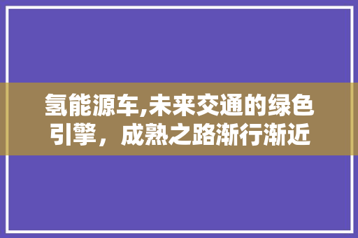 氢能源车,未来交通的绿色引擎，成熟之路渐行渐近