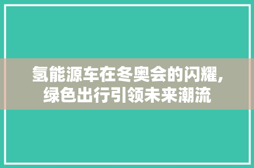 氢能源车在冬奥会的闪耀,绿色出行引领未来潮流