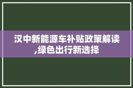 汉中新能源车补贴政策解读,绿色出行新选择