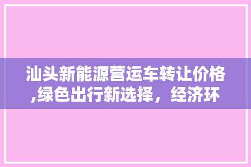 汕头新能源营运车转让价格,绿色出行新选择，经济环保双赢