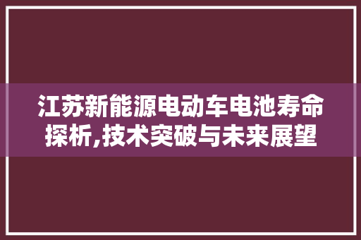 江苏新能源电动车电池寿命探析,技术突破与未来展望