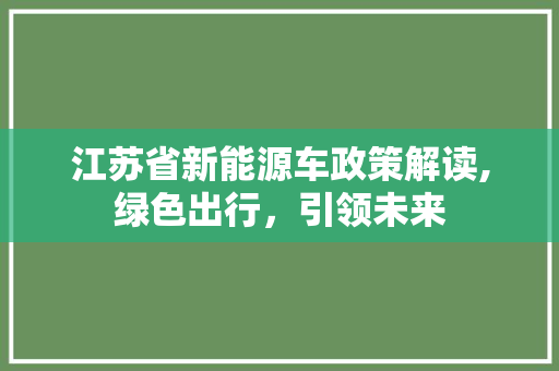 江苏省新能源车政策解读,绿色出行，引领未来