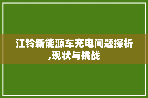 江铃新能源车充电问题探析,现状与挑战