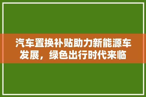 汽车置换补贴助力新能源车发展，绿色出行时代来临