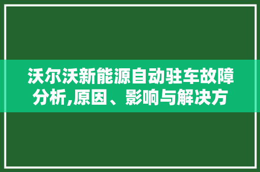 沃尔沃新能源自动驻车故障分析,原因、影响与解决方法