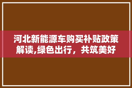 河北新能源车购买补贴政策解读,绿色出行，共筑美好未来
