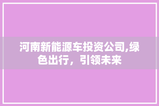河南新能源车投资公司,绿色出行，引领未来