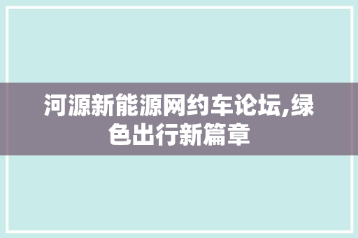 河源新能源网约车论坛,绿色出行新篇章