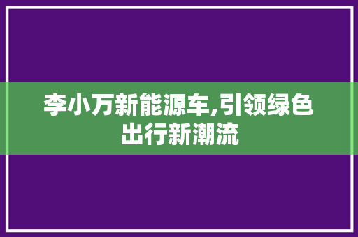 李小万新能源车,引领绿色出行新潮流