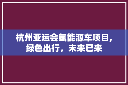 杭州亚运会氢能源车项目,绿色出行，未来已来
