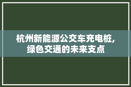 杭州新能源公交车充电桩,绿色交通的未来支点