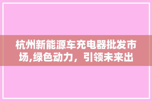 杭州新能源车充电器批发市场,绿色动力，引领未来出行新潮流