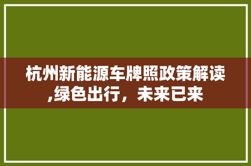 杭州新能源车牌照政策解读,绿色出行，未来已来
