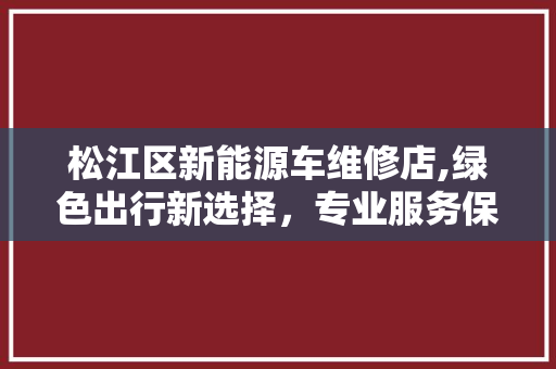 松江区新能源车维修店,绿色出行新选择，专业服务保安全