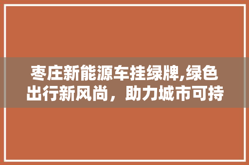 枣庄新能源车挂绿牌,绿色出行新风尚，助力城市可持续发展