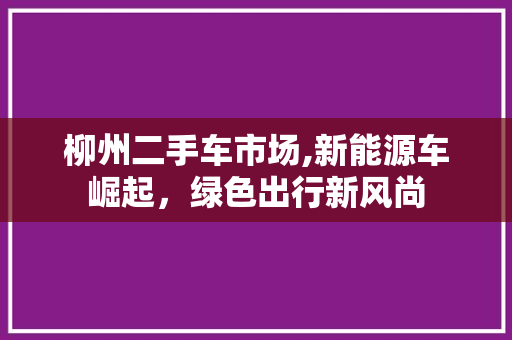 柳州二手车市场,新能源车崛起，绿色出行新风尚