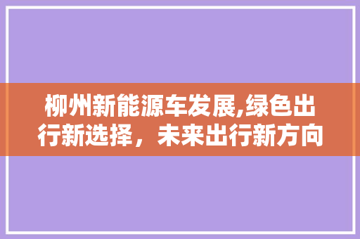 柳州新能源车发展,绿色出行新选择，未来出行新方向