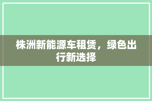 株洲新能源车租赁，绿色出行新选择