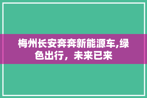 梅州长安奔奔新能源车,绿色出行，未来已来