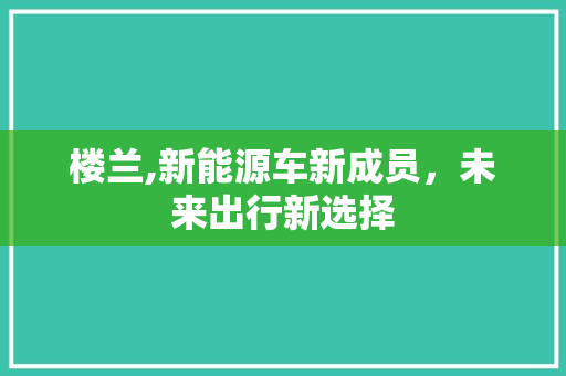 楼兰,新能源车新成员，未来出行新选择