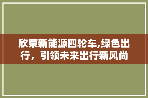 欣荣新能源四轮车,绿色出行，引领未来出行新风尚